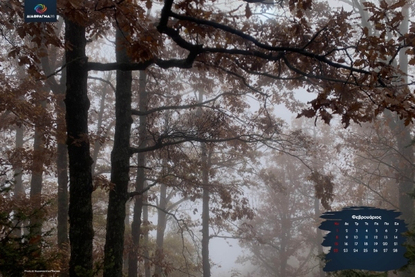 Αφίσα ατομικής έκθεσης